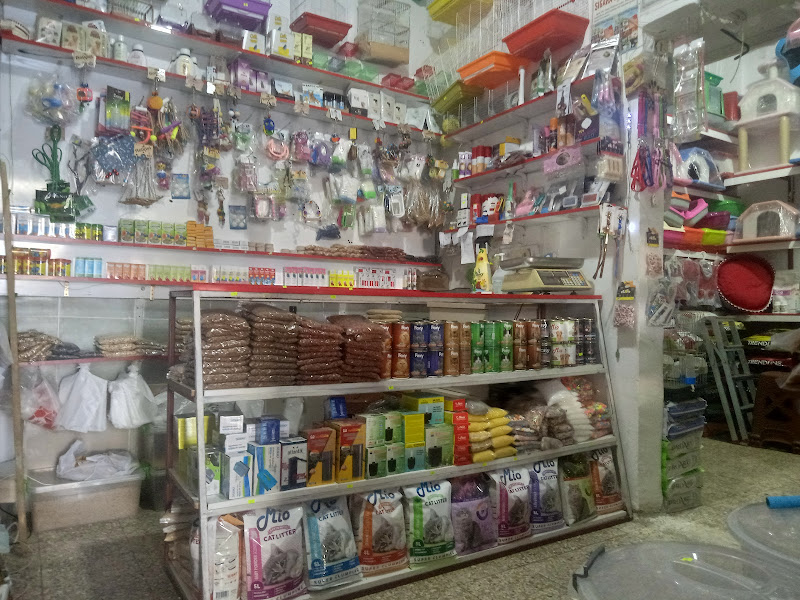 Evcil Petshop Bucak