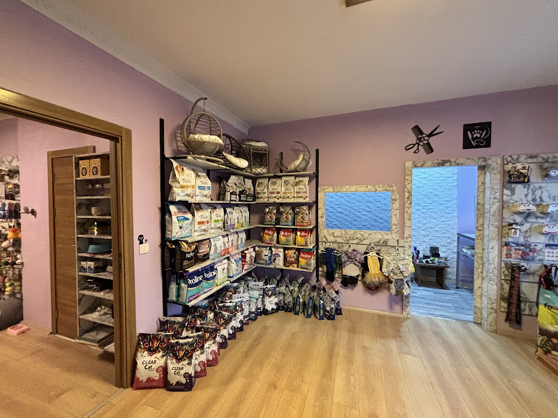 Fi Pet Market