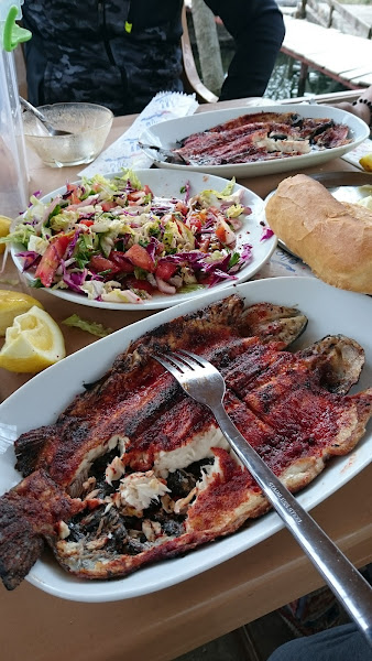 Fırnız Aras Alabalık