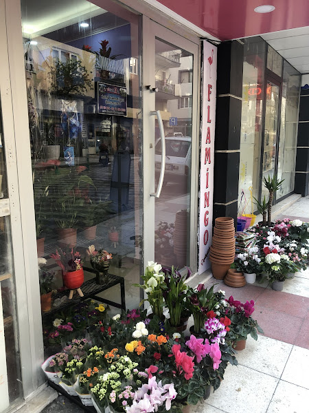 Flamingo Çiçekçilik
