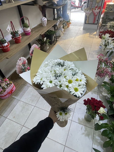 FLORIA ÇİÇEKÇİLİK
