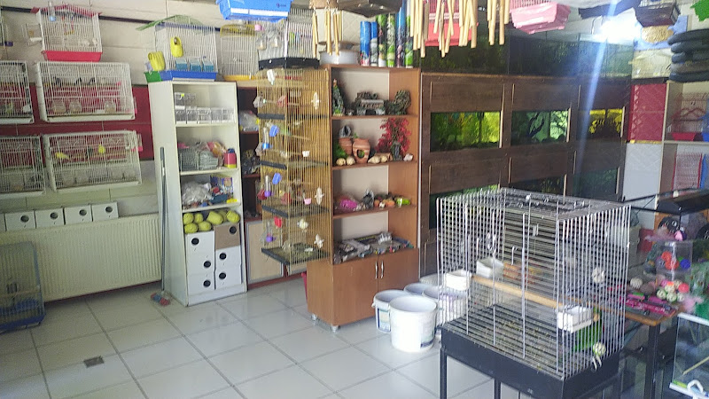 Florya Petshop