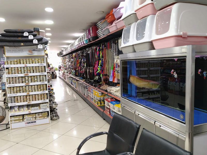 Funny Pet Market