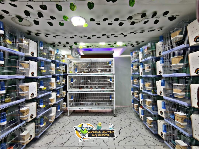 Gagalı Petshop