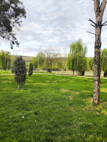 Gap Vadisi 3.Etap