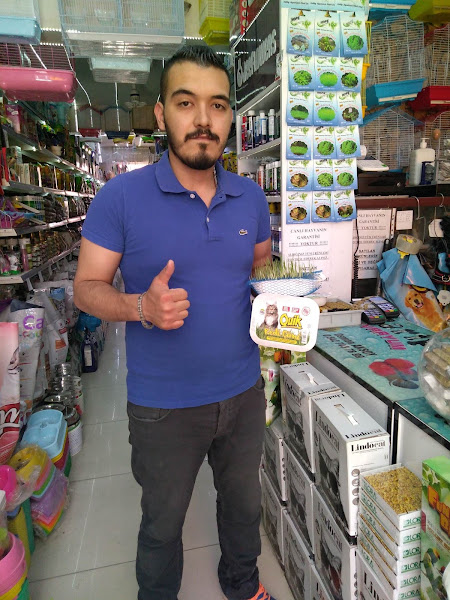 GARİP AKVARYUM