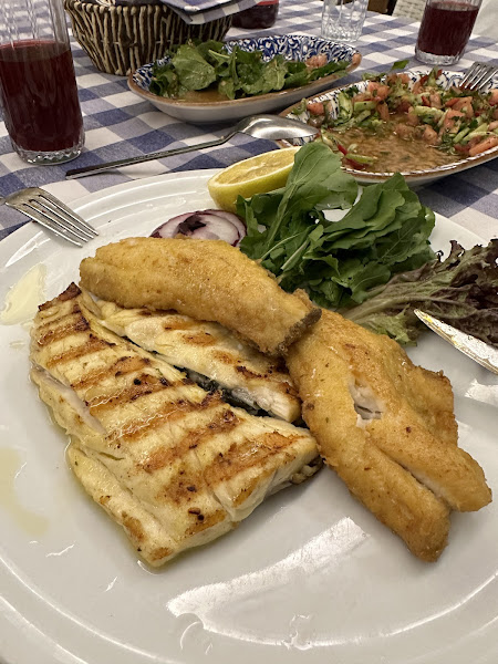 Gazi Balık