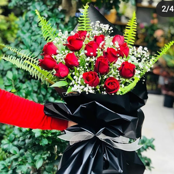 Gaziantep Gardenya Çiçek bı dunya