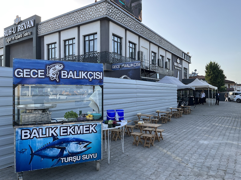 Gece Balıkçısı