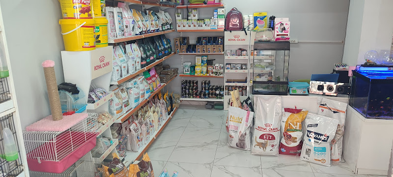 Gezegen Pet Shop