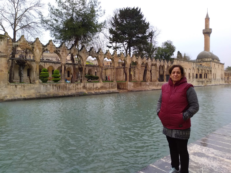Geziekibi Turizm Seyahat Acentası