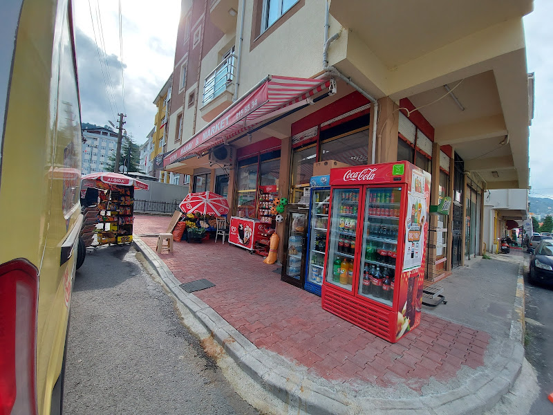 Giresun-Nizamiye - Profilo Yetkili Servisi