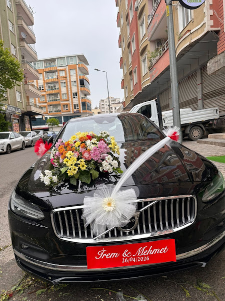 GLoria Flowerss7