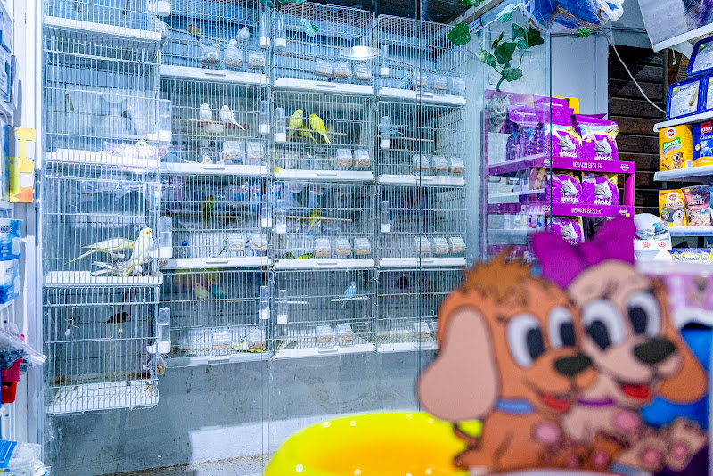 Gofi Pet Shop