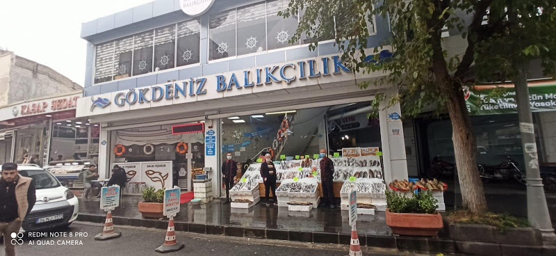 Gökdeniz Balıkçılık