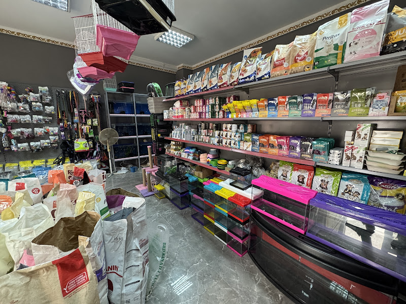 Göker Petshop 2