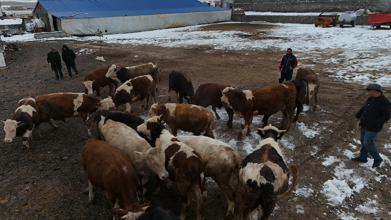 Gökkuşağı Pet Shop