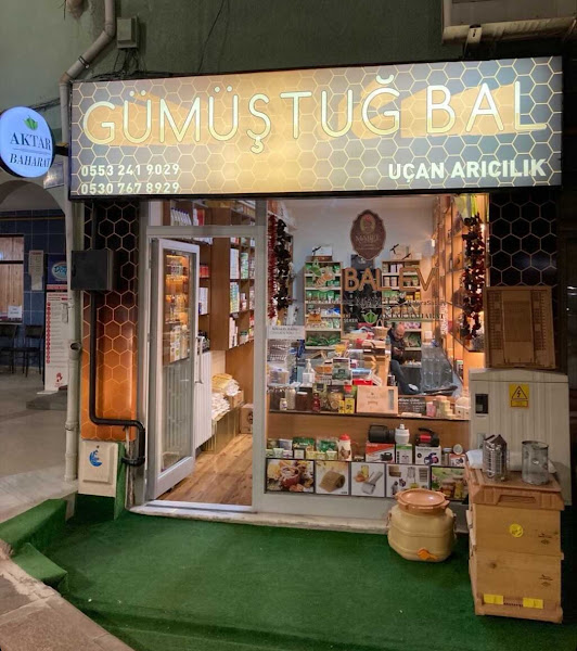 Gümüştuğ Bal Arıcılık