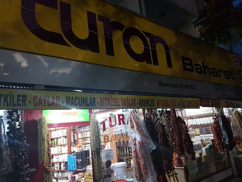 Gün ışığı aktar