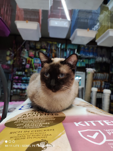 Gürel Petshop Akvaryum