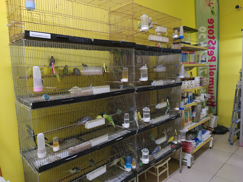 Hanımeli PetStore - Kuş, Kedi, Köpek, Kemirgen Aksesuarları ve Balık Galerisi (Ataşehir muhabbet kuşu, sultan papağanı)