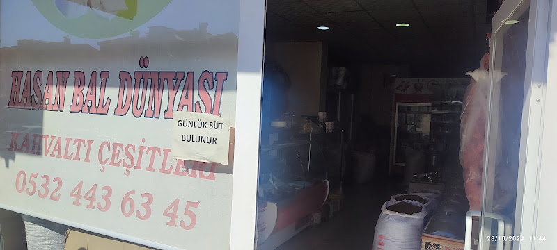 Hasan Bal Dünyası