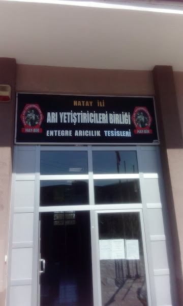 Hatay Ari Yetistiricileri Birligi