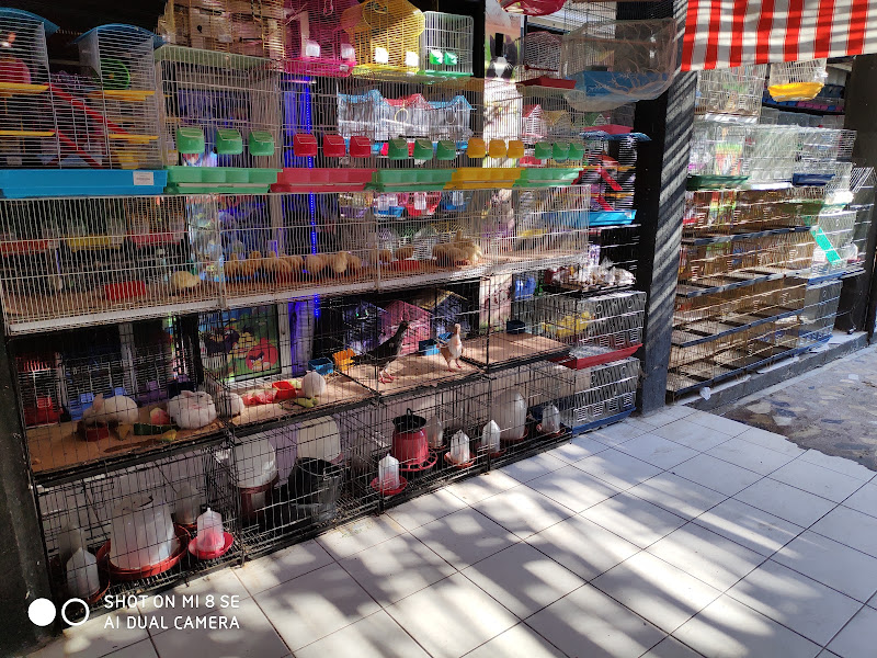 Hatay Evcil Pet Shop Antakya