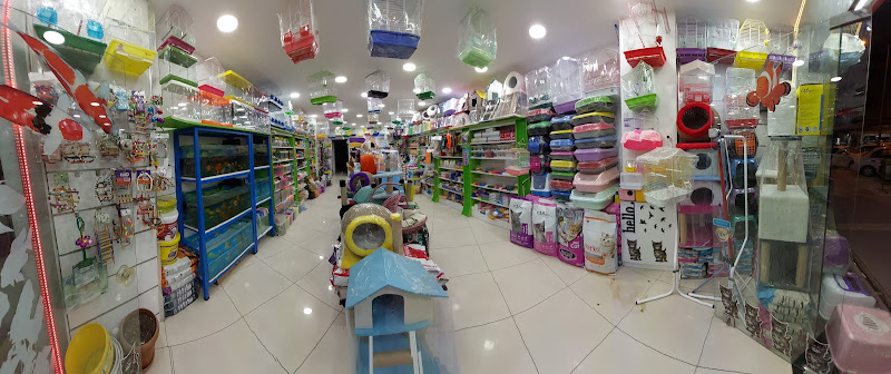 HAYAL PETSHOP