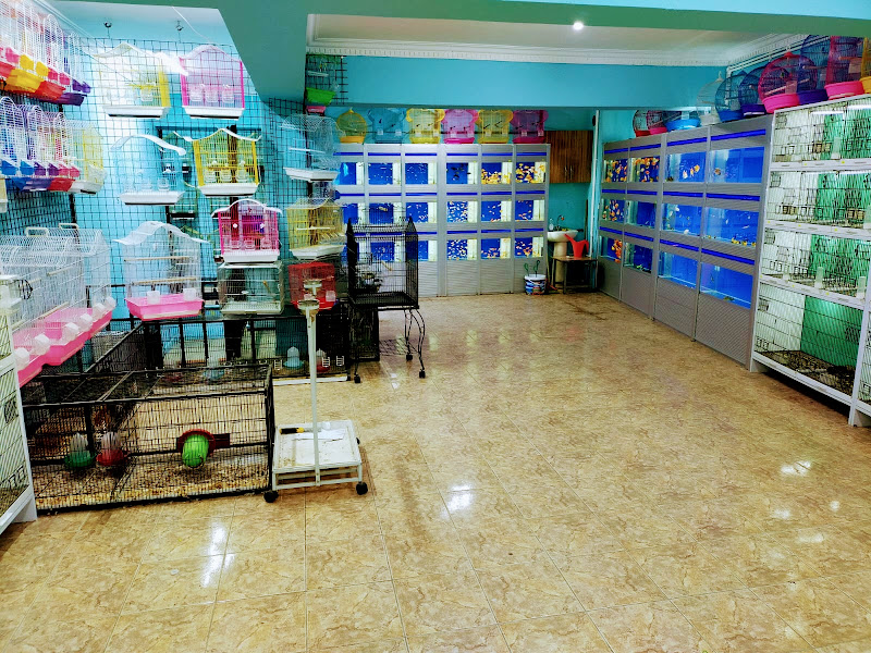 Hayvanlar Alemi Petshop