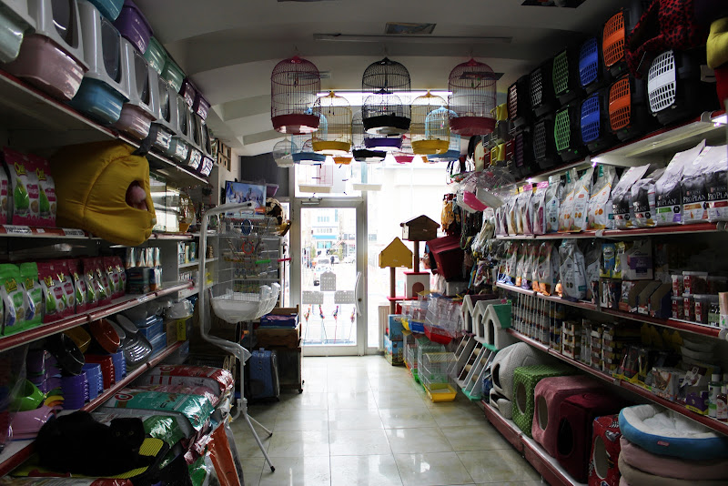 Hazal Petshop Yozgat