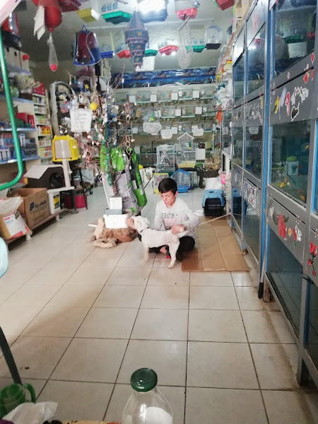 Helin Petshop Akvaryum