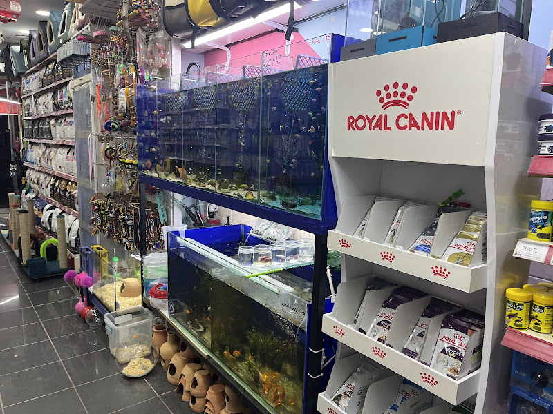 HIÇKIDIK PETSHOP AKVARYUM İZMİT