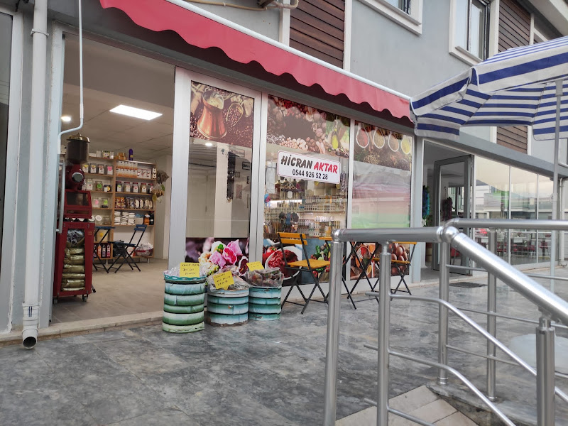 Hicran Aktar