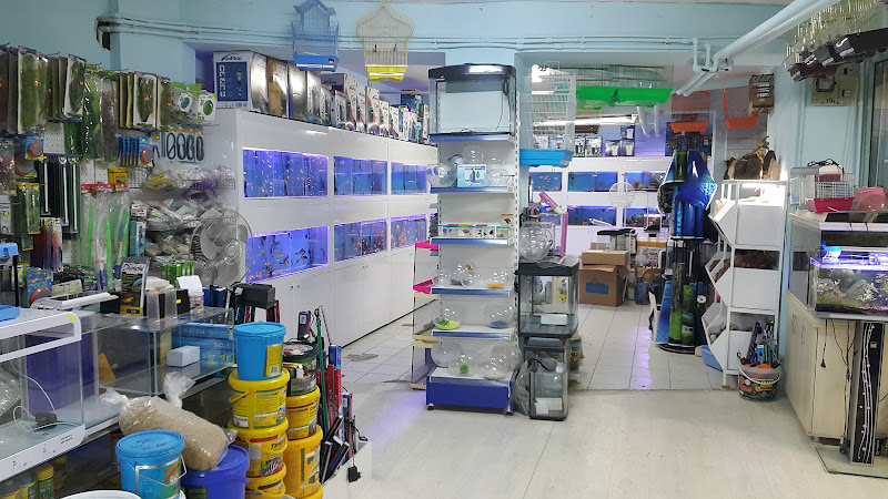 Hisar Pet Shop