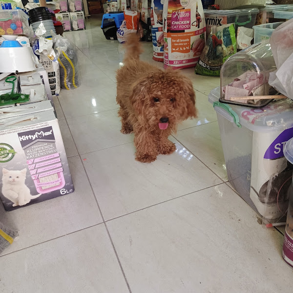 HOBİ AKVARYUM PETSHOP