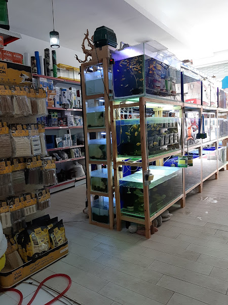 HOBİM PET SHOP 07