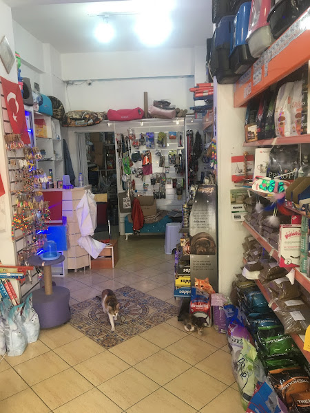 İçerenköy Petshop