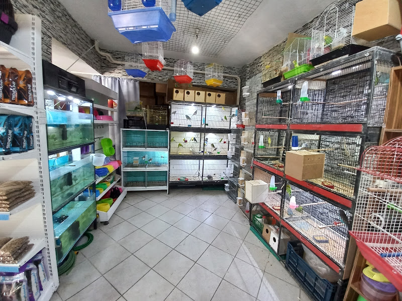 İda Pet Shop