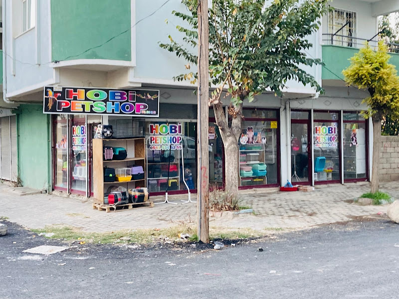 Iğdır hobby petshop