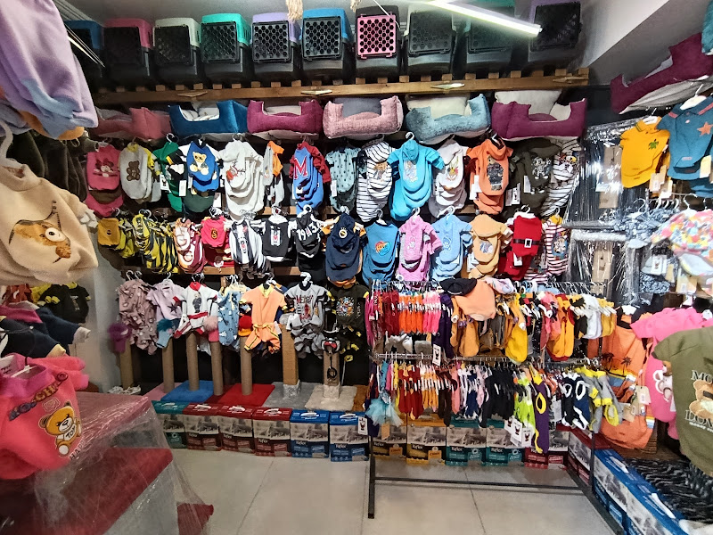 İlgi petmarket petshop petotel köpek eğitimi