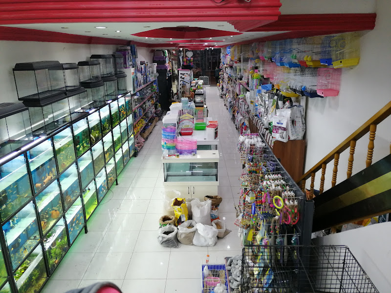 IŞIK PETSHOP