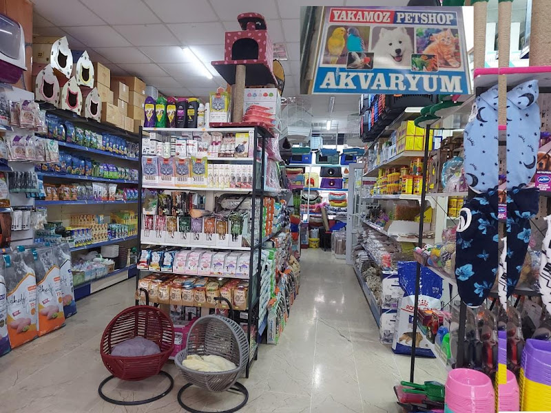 İşler petshop