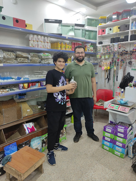 İstanbul petshop