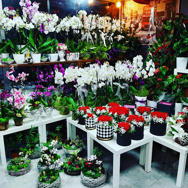 İzmir Ladin Çiçekçilik | İzmir Çiçekçi