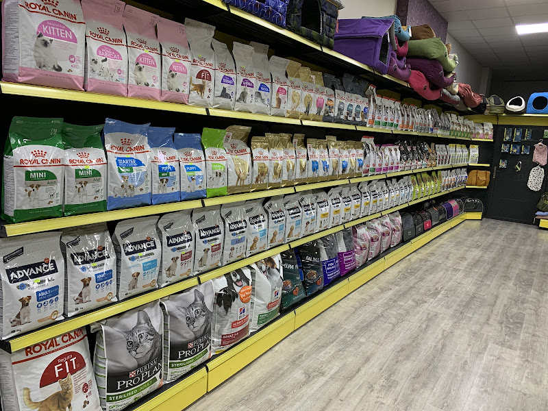jetpet market
