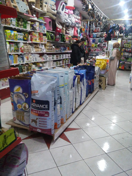KAFKASYALI PET SHOP
