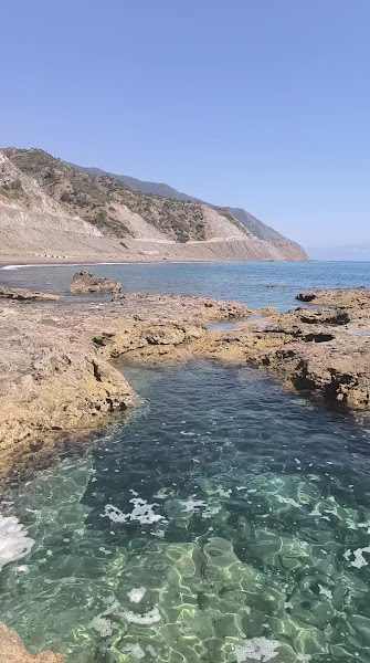 Kale Bal Ormanı