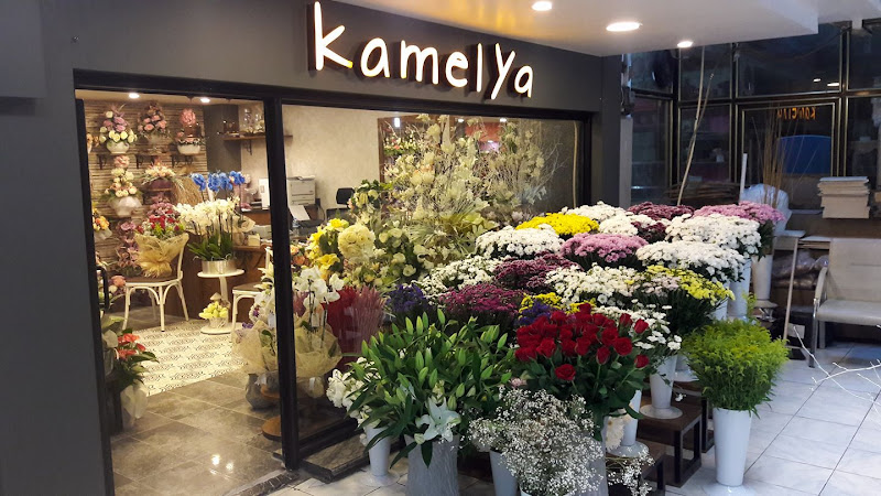 Kamelya Karabük Çiçekçi