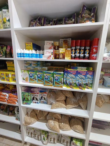 Kanarya Petshop